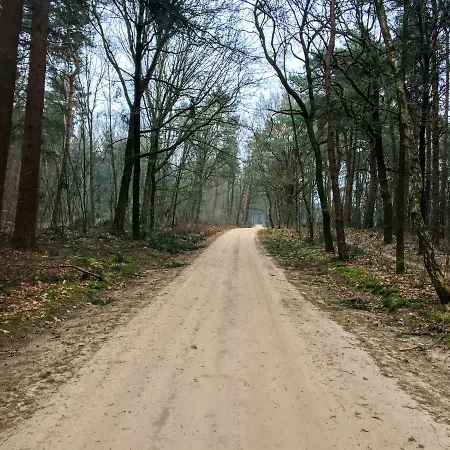 Vosseveen Casa de Férias Zelhem