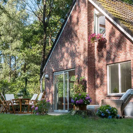 Vosseveen * Zelhem
